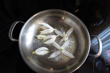 Wie schmecken in Butter geschmorte Fuchsienbl&uuml;ten?